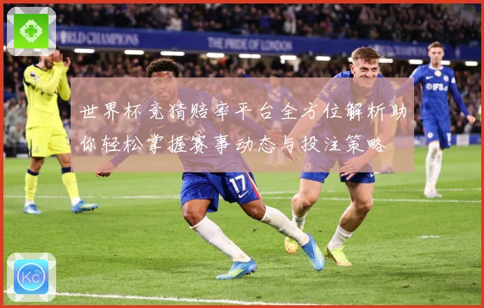 世界杯竞猜赔率平台全方位解析助你轻松掌握赛事动态与投注策略