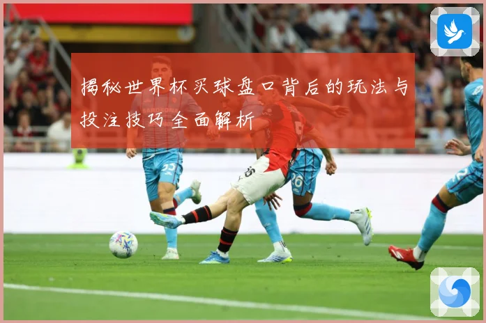 揭秘世界杯买球盘口背后的玩法与投注技巧全面解析