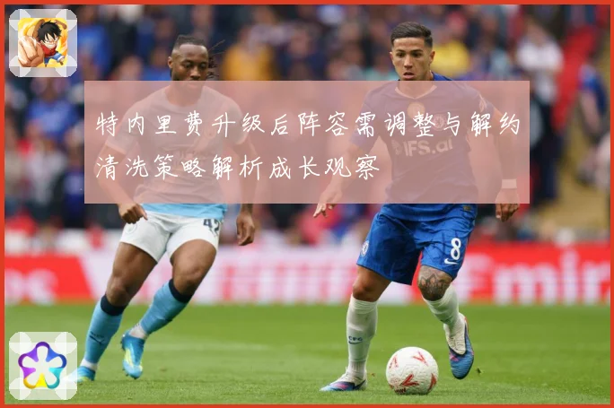 特内里费升级后阵容需调整与解约清洗策略解析成长观察