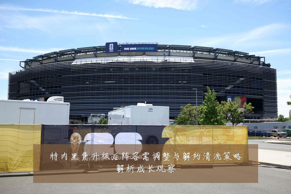 特内里费升级后阵容需调整与解约清洗策略解析成长观察