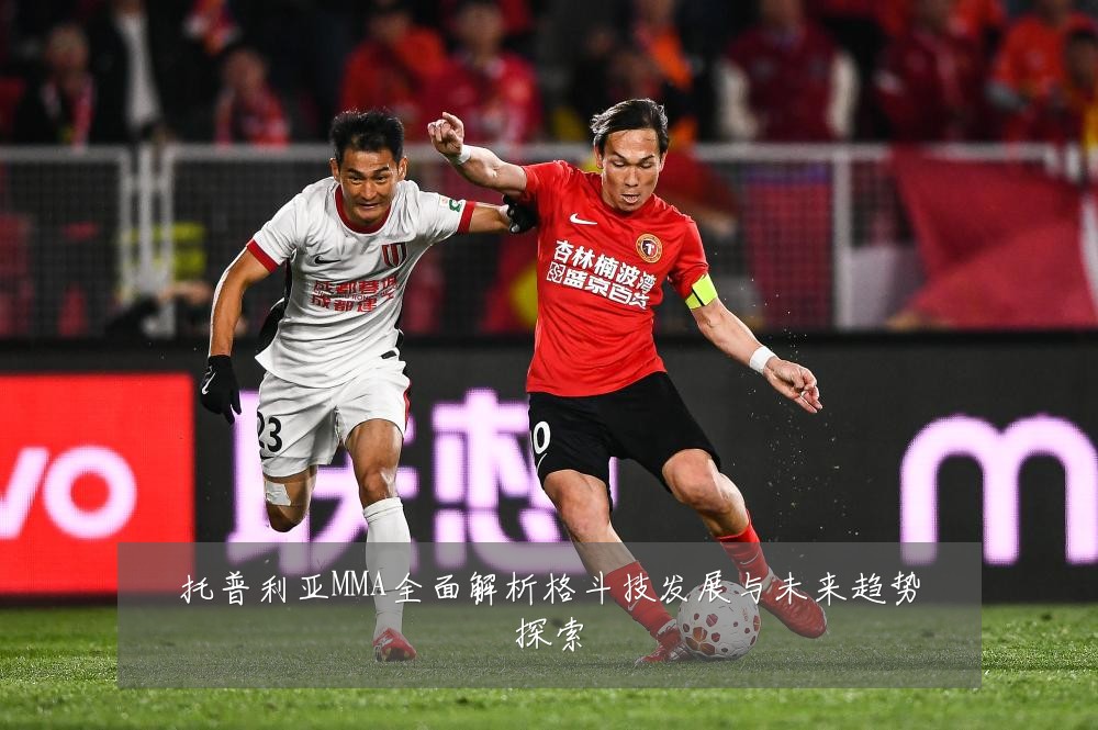 托普利亚MMA全面解析格斗技发展与未来趋势探索